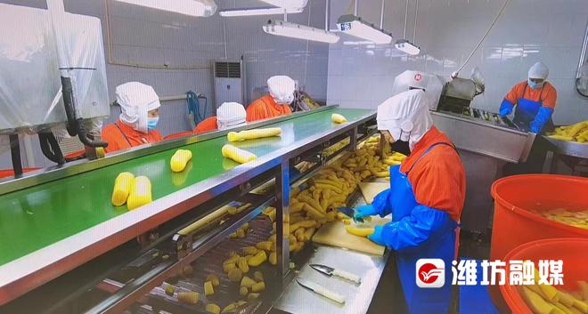 預制菜訂單火爆，企業生產排期已至五月